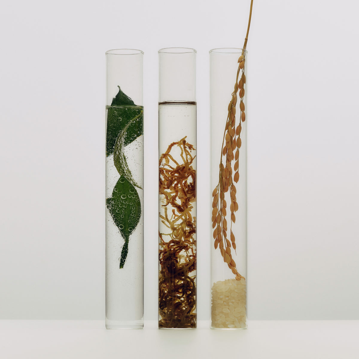 Essence-Aug26-Ppage-Ingredients_6e45325a-10c4-4931-be7c-5197031d5cfe.jpg