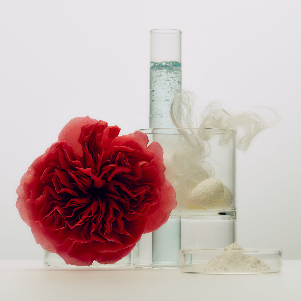SilkCream-Aug26-Ppage-Ingredients_8bd3414f-c680-4a0b-92a7-b16a447a62a6.jpg