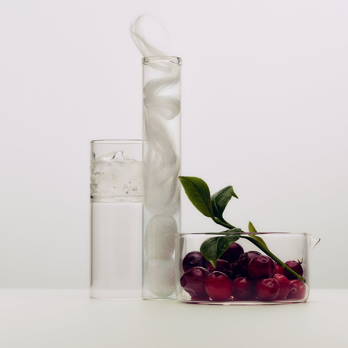 SilkSerum-Aug26-Ppage-Ingredients_db2fc41c-bace-47d3-94b0-2bdf6cd326c1.jpg